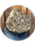Maïtake par Rose et Lion_Microferme de champignons