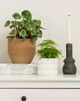 Cache-pot Le Bubbly | 3 couleurs