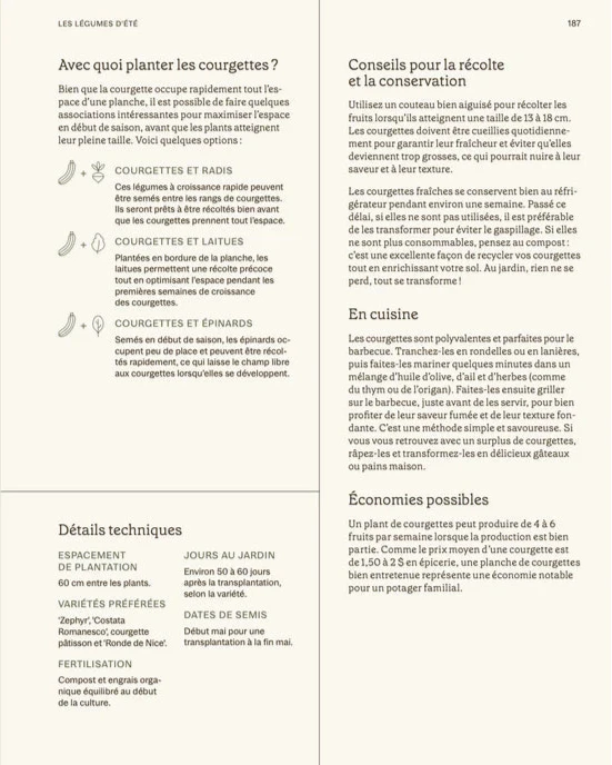 Des conseils pour planter des légumes d'été.