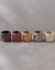 Des gobelets de différentes couleurs de l'entreprise dompierre alignés sur une table.