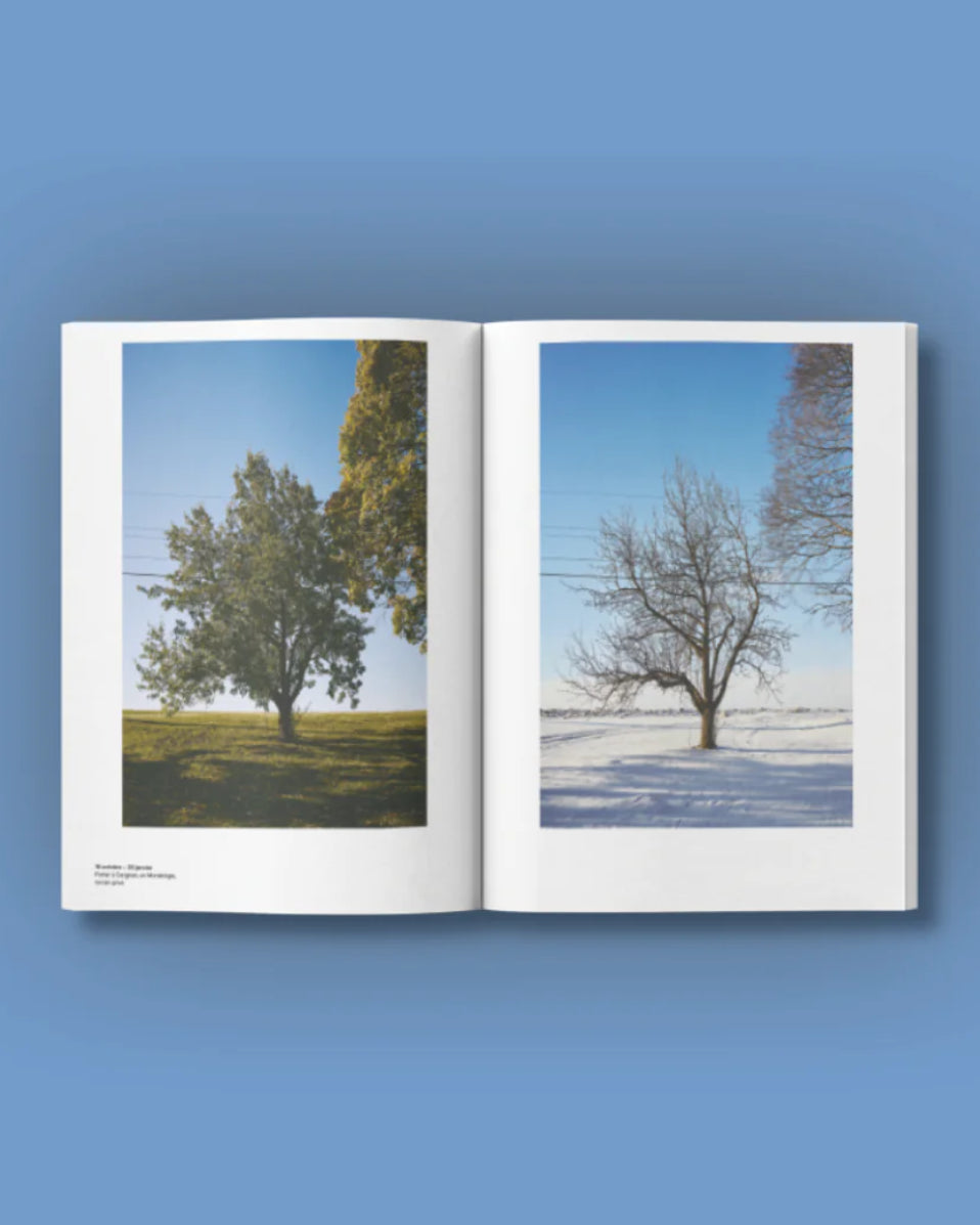 Deux photos démontrant un arbre en été et l'autre en hiver dans le magazine Extrêmes de Caribou.