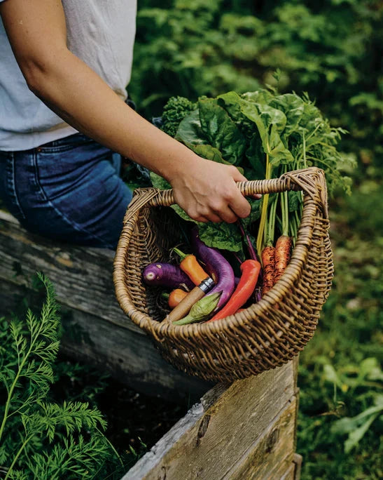 Photo d'un panier de légumes.