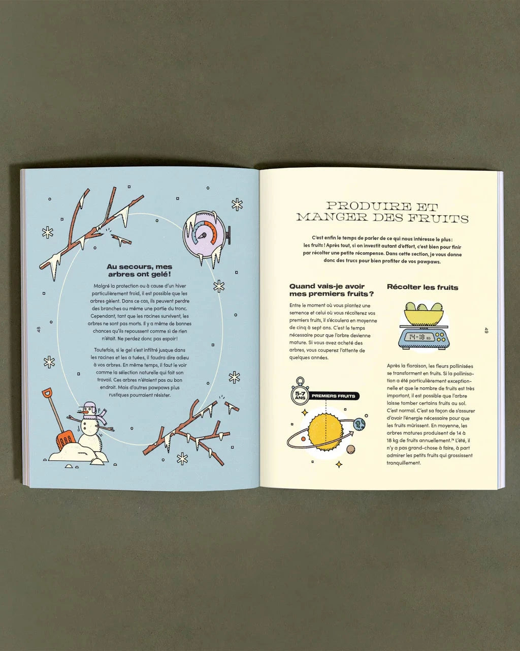 pawpaw-histoire-culture-livre-le-nutritionniste-urbain-arbres-geles