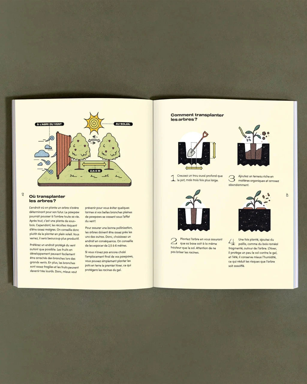 pawpaw-histoire-culture-livre-le-nutritionniste-urbain-transplanter
