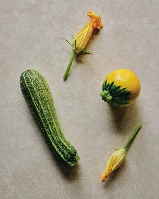 Photo de différentes courgettes.