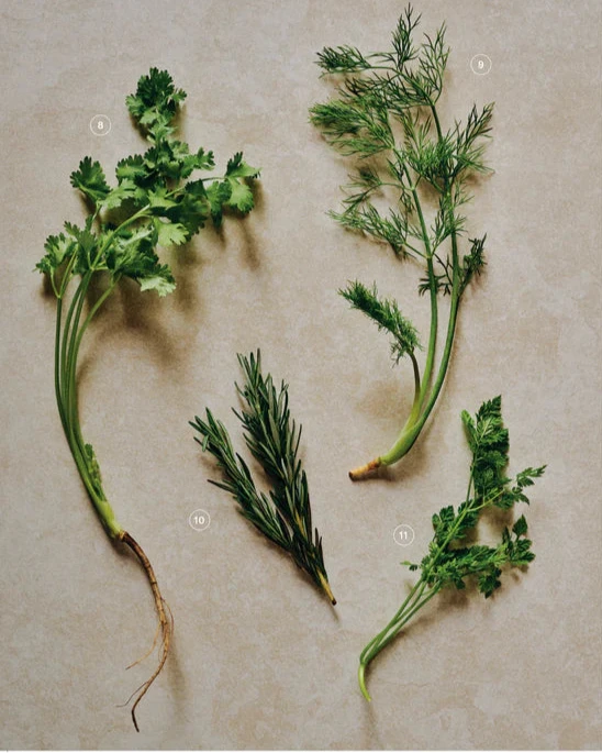 Photo de fines herbes.